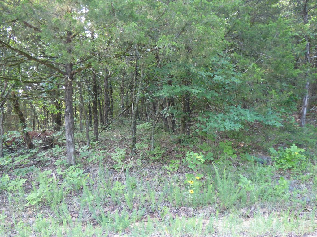 Picture 12