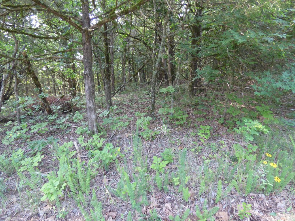 Picture 7