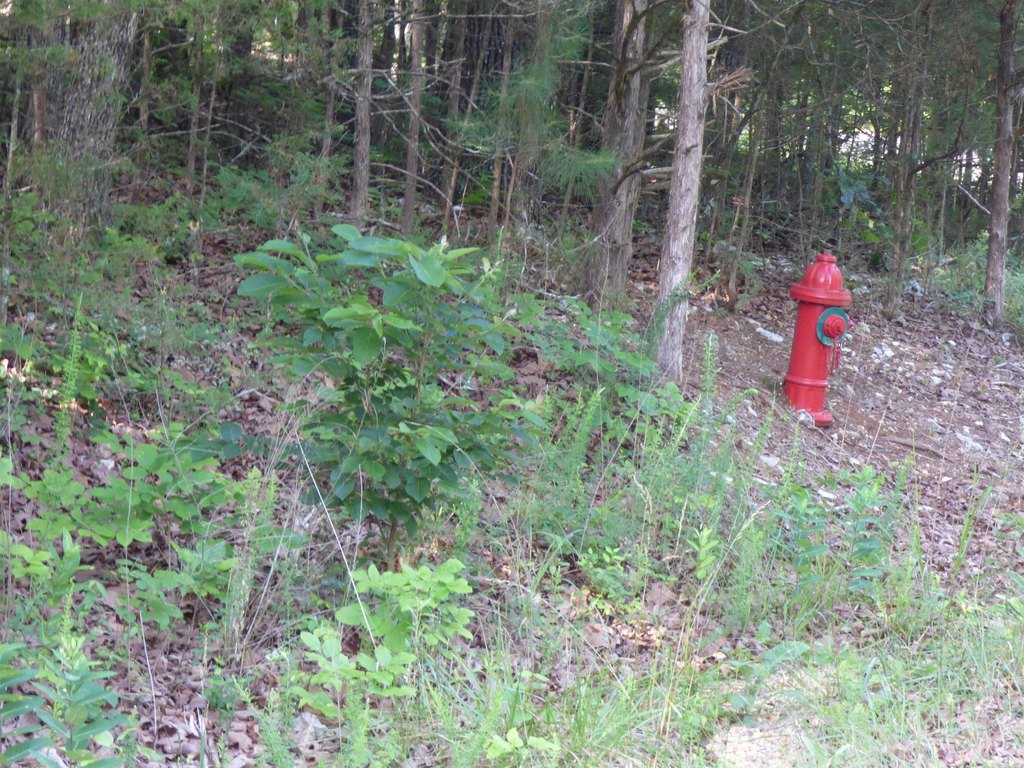 Picture 6