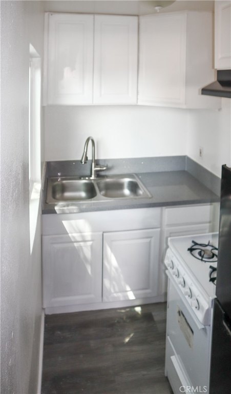 Picture 5