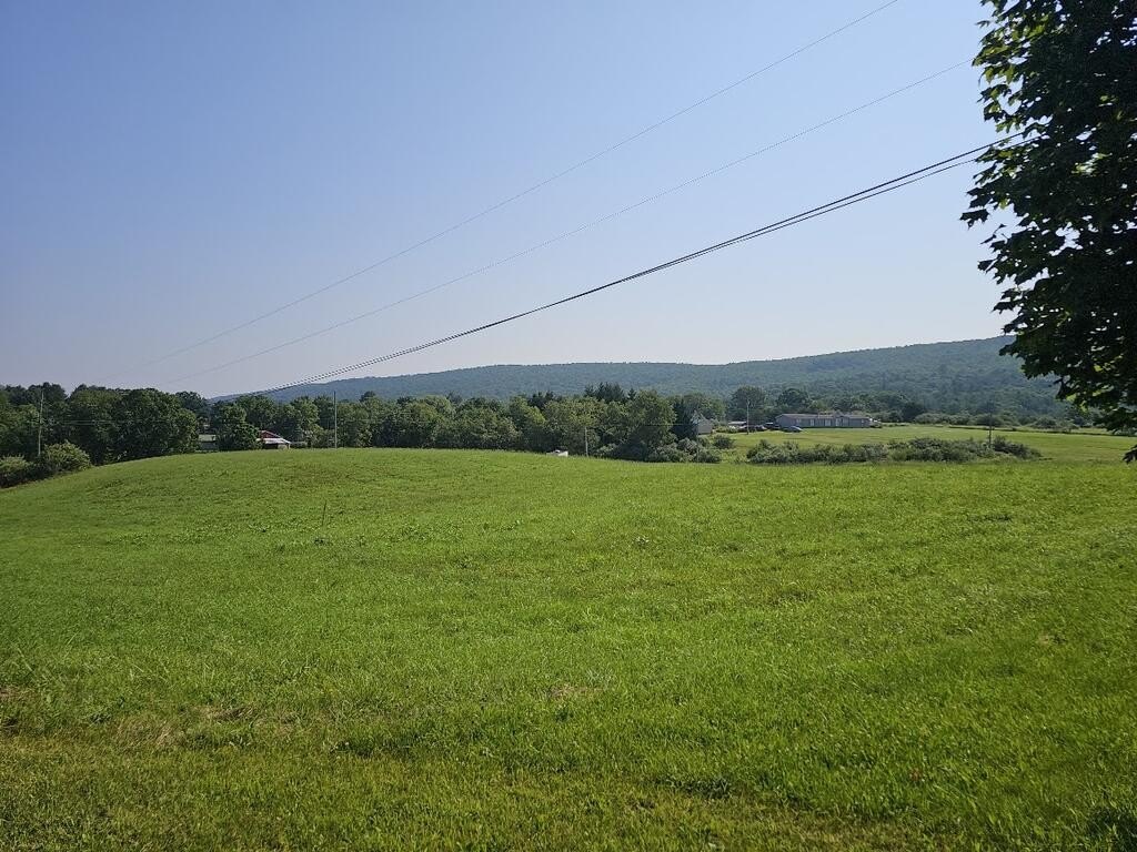 Picture 3
