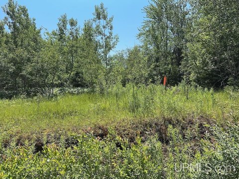 Two Acre Wooded Parcel
