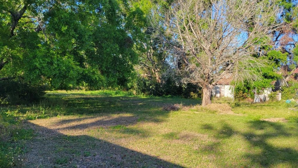 Picture 18