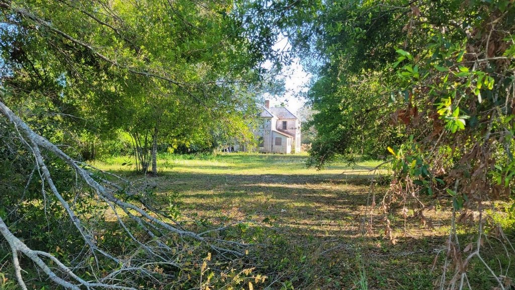 Picture 9