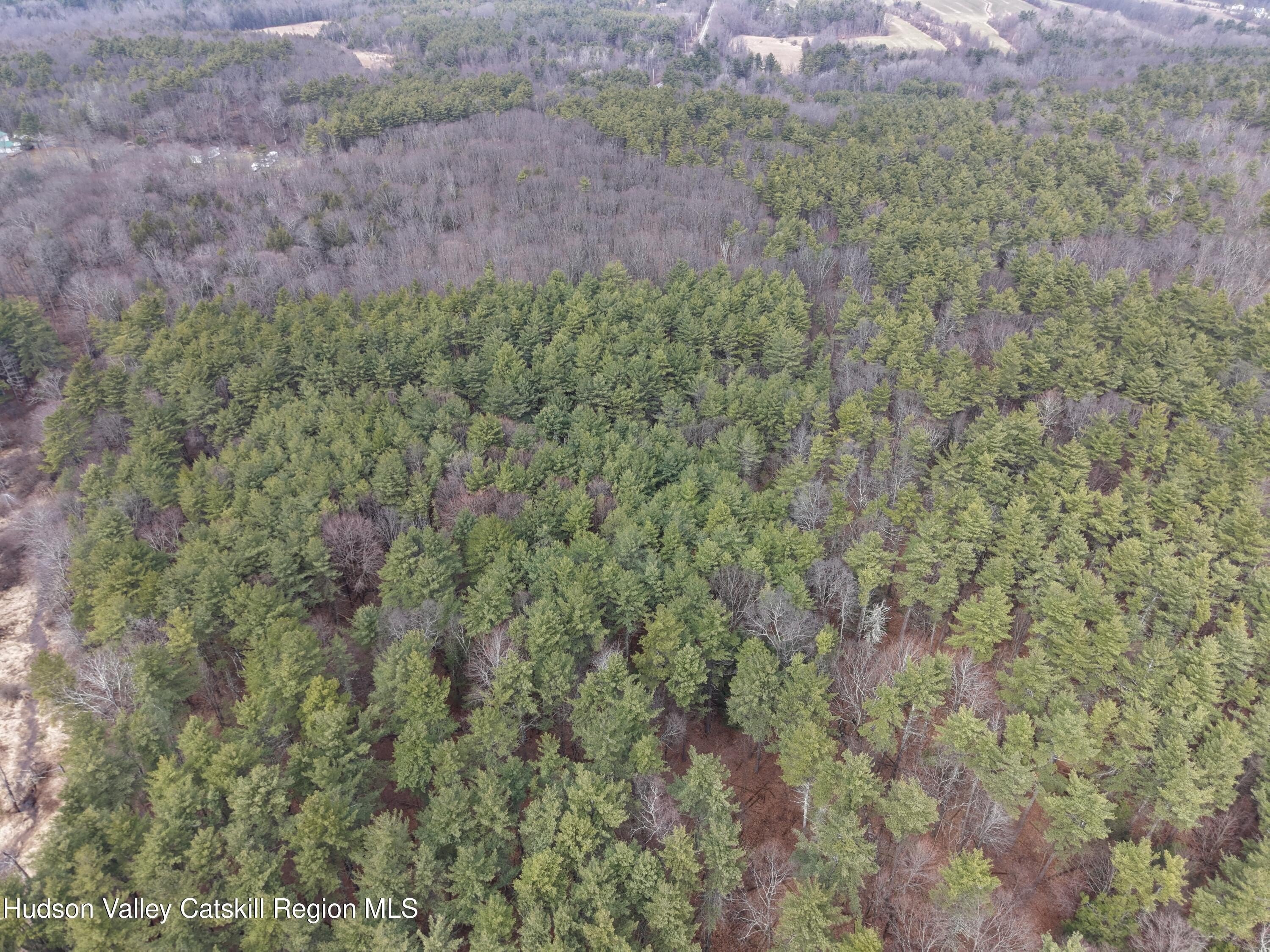 25 Acres Vacant Land