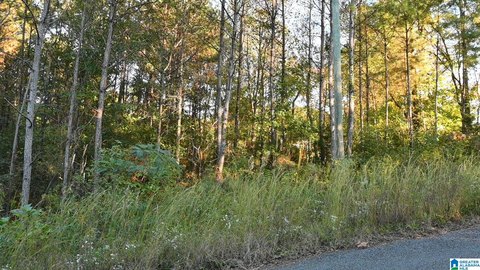 LAND/LOTS, CLEVELAND, AL