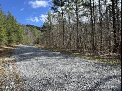 LAND - Del Rio, TN