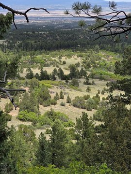 Mountain Recreation Land Sanctuary