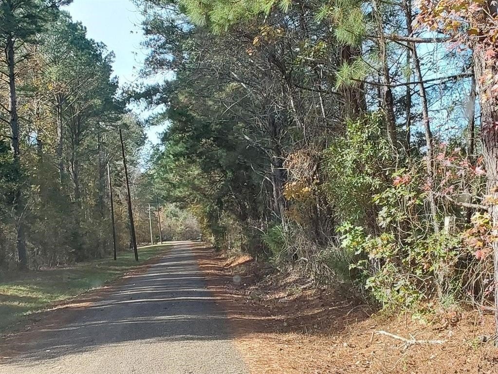 Picture 3