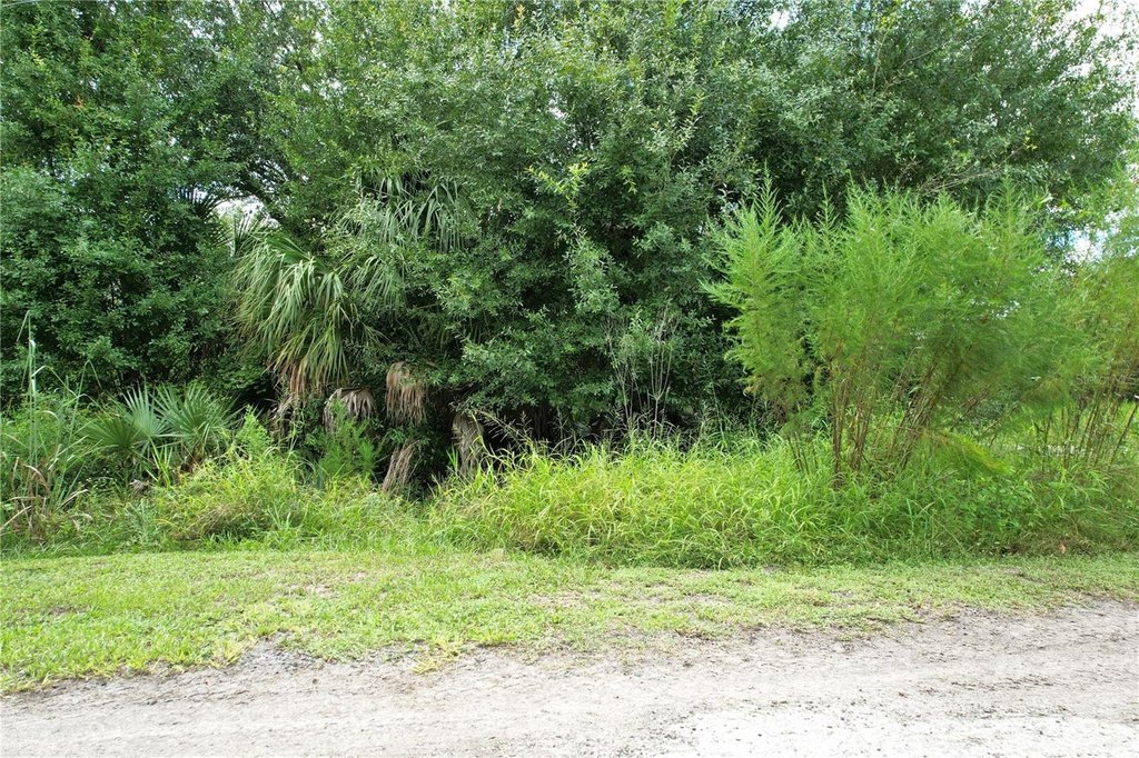 Picture 10