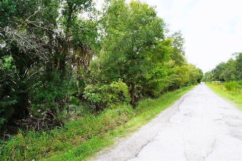 Land, ARCADIA, FL