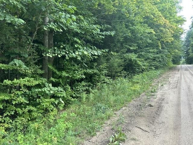Picture 3