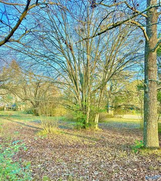 Residential Lot in Hartselle, AL