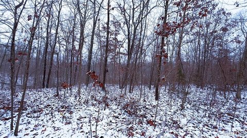 Wooded Acreage - Cadet, Missouri