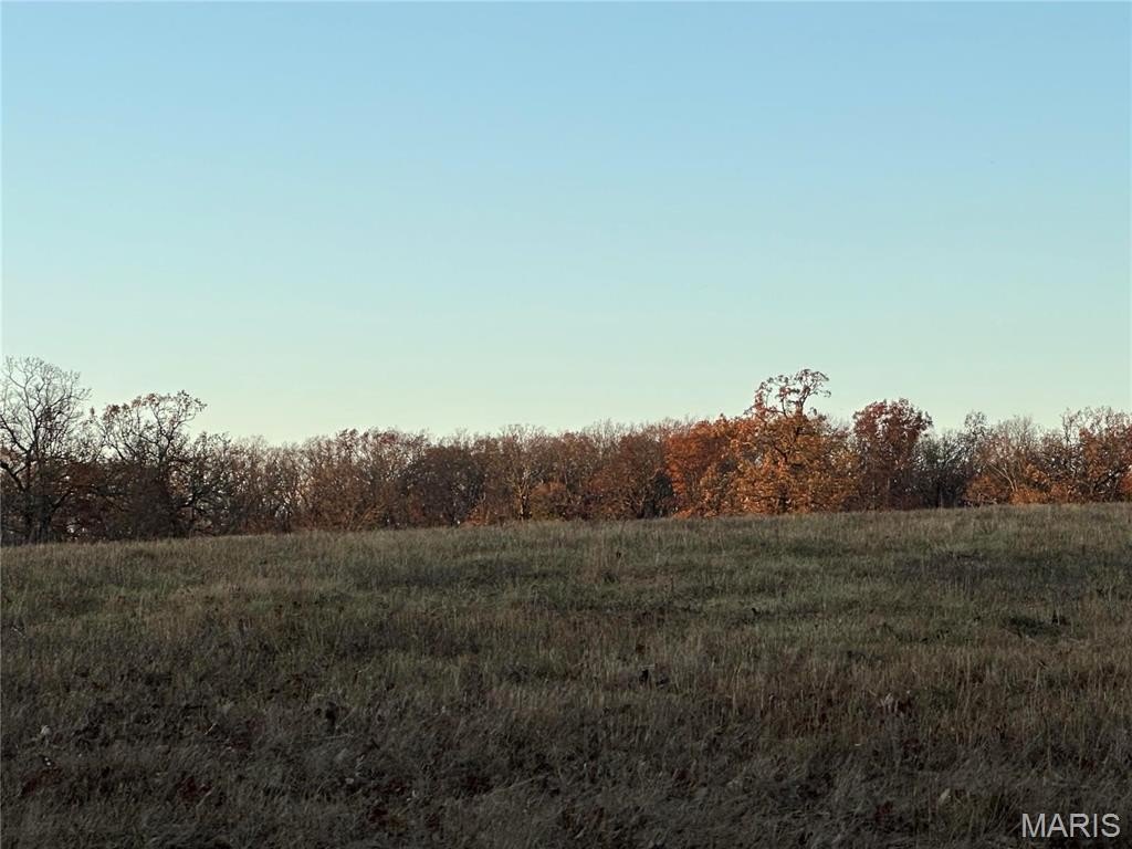 Picture 7