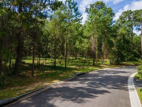 Valdosta Land Opportunity