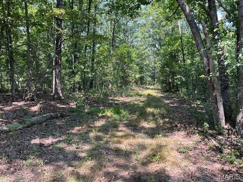 Wooded Recreational Land Tract