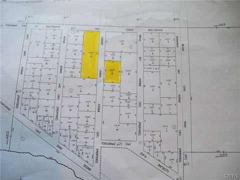 Wooded Lot Near Lake