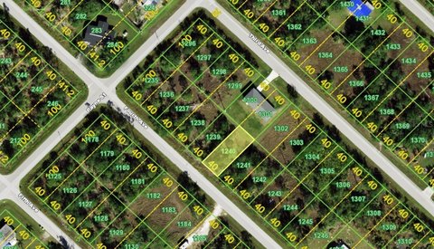 Residential Lot in Punta Gorda