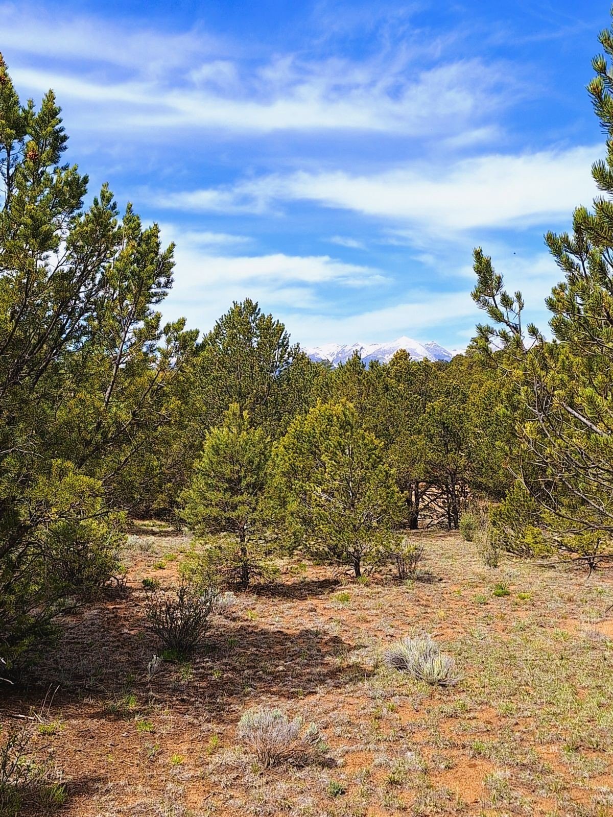 Westcliffe Land with Mountain Views