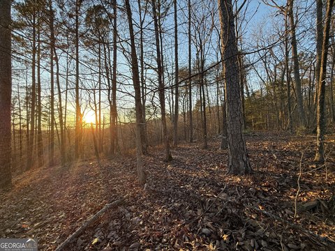 Mountain View Lot in Ranger