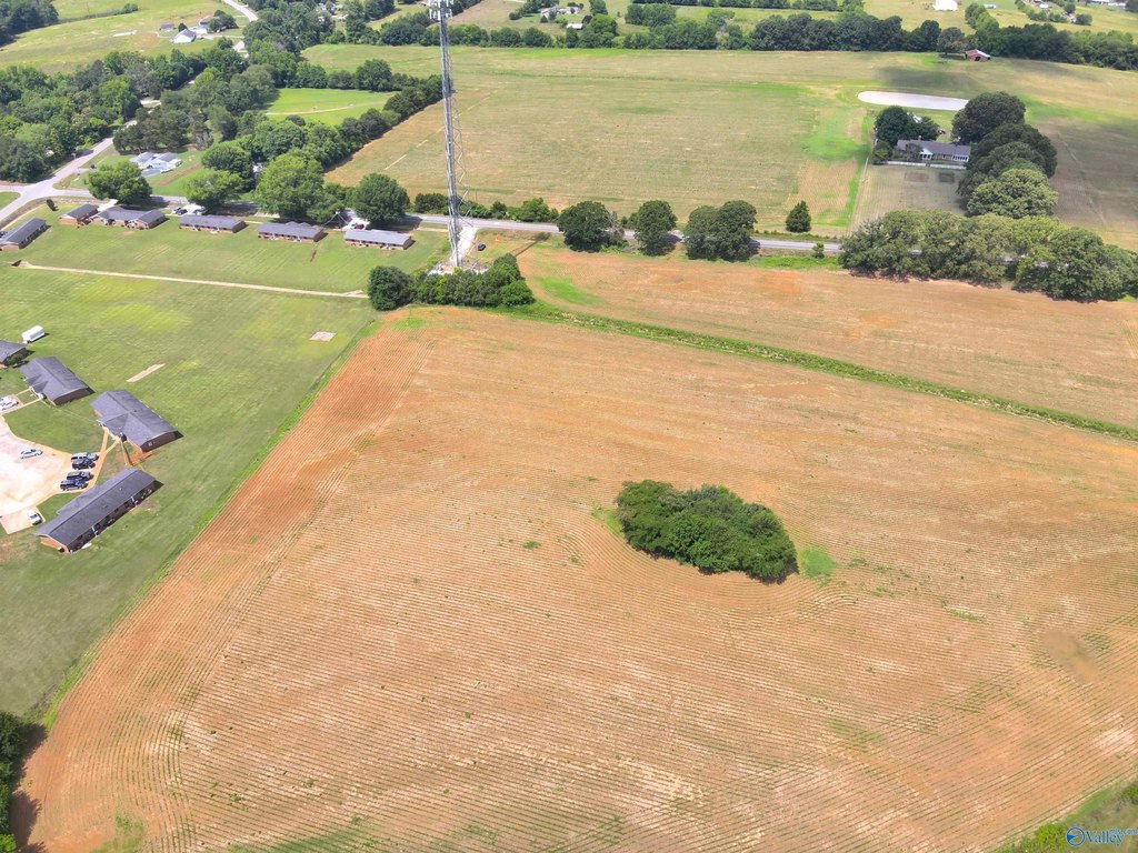Picture 17
