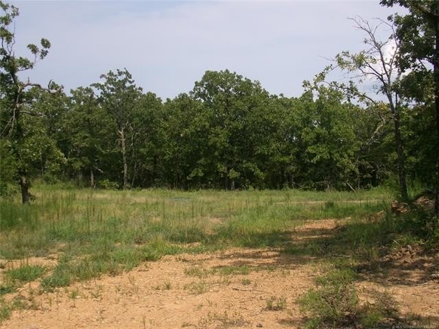 Picture 5