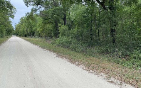 Wooded Agricultural Land Parcel