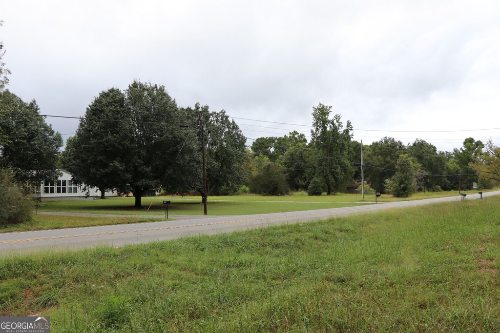 Picture 15