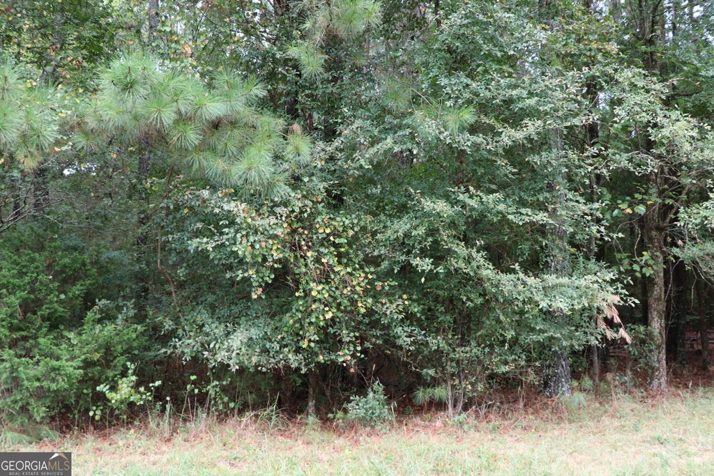 Picture 9