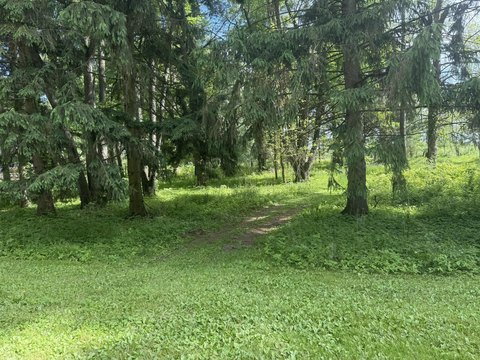 Buildable Lot Near Barton Lake