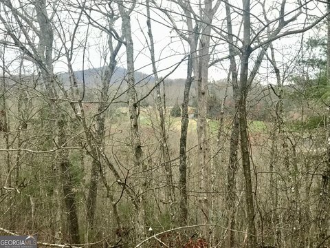 Mountain View Lot in Blue Ridge