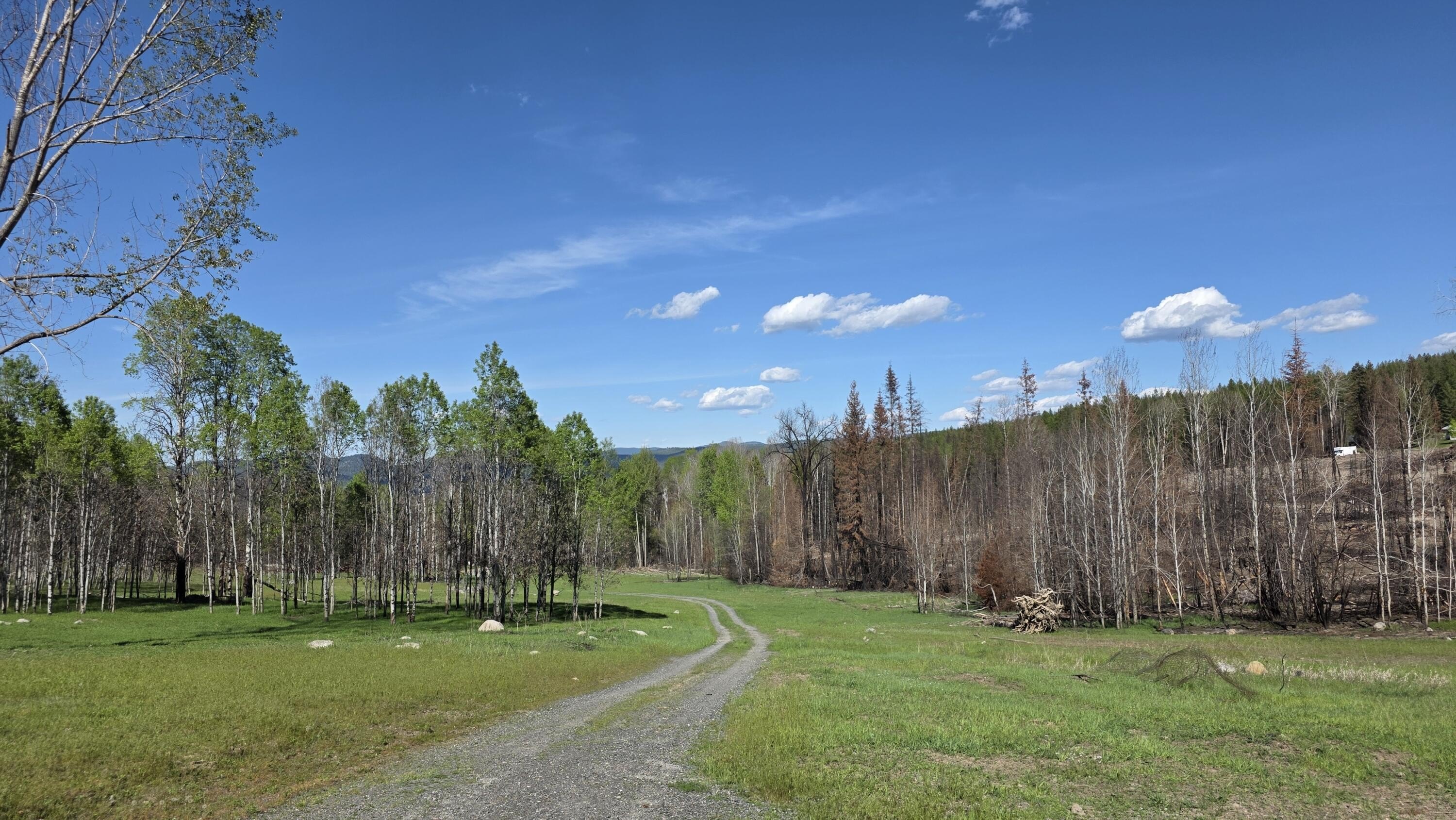 20 Acres in Colville, WA