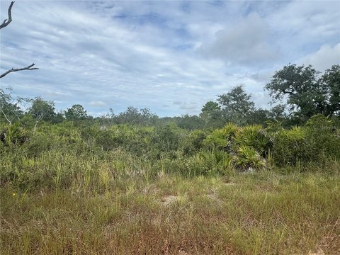 Land, AVON PARK, FL