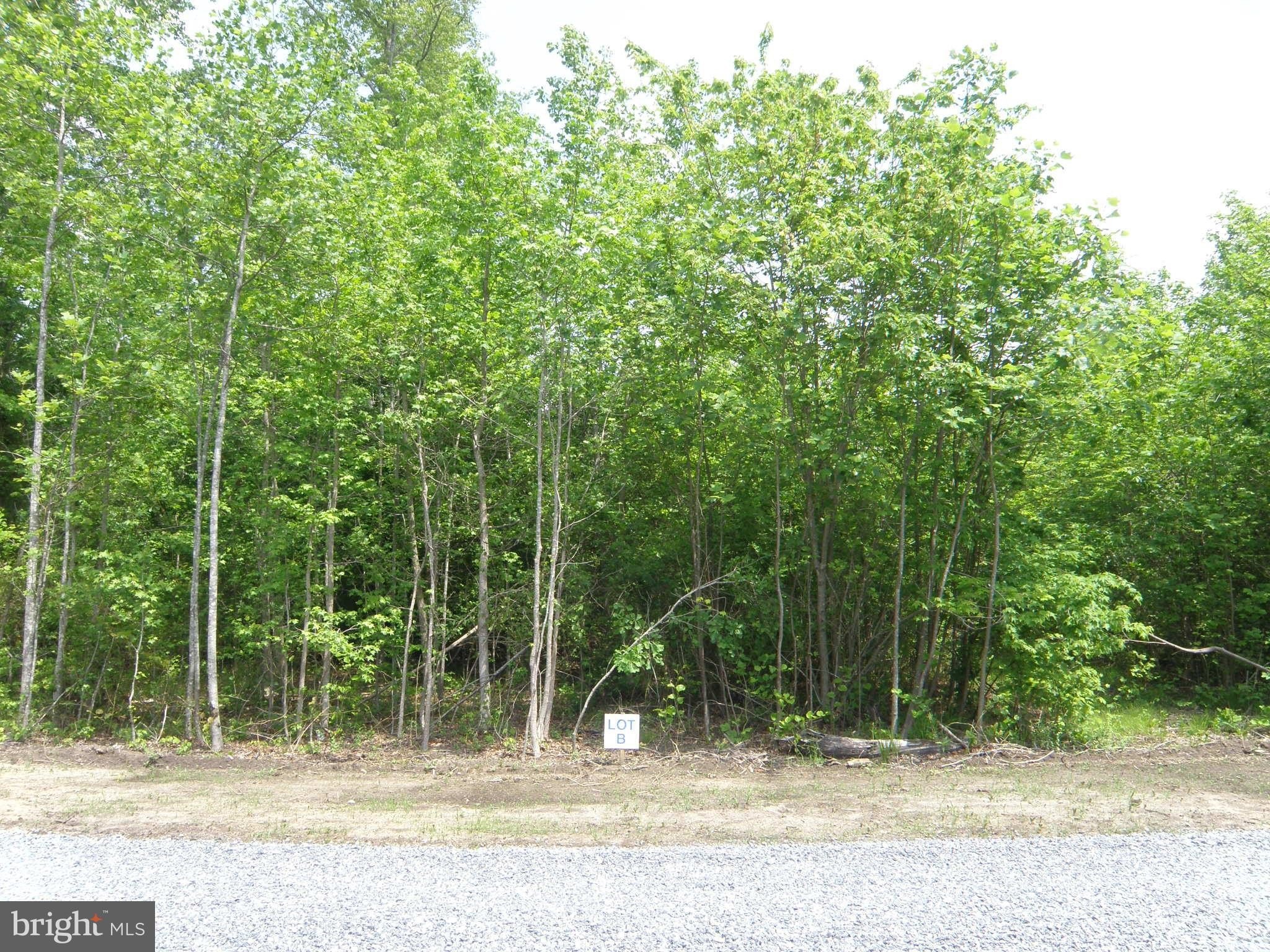 Wooded Land in Georgetown, DE