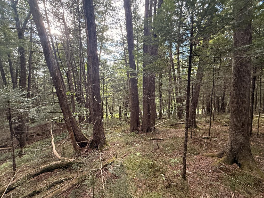 Picture 23