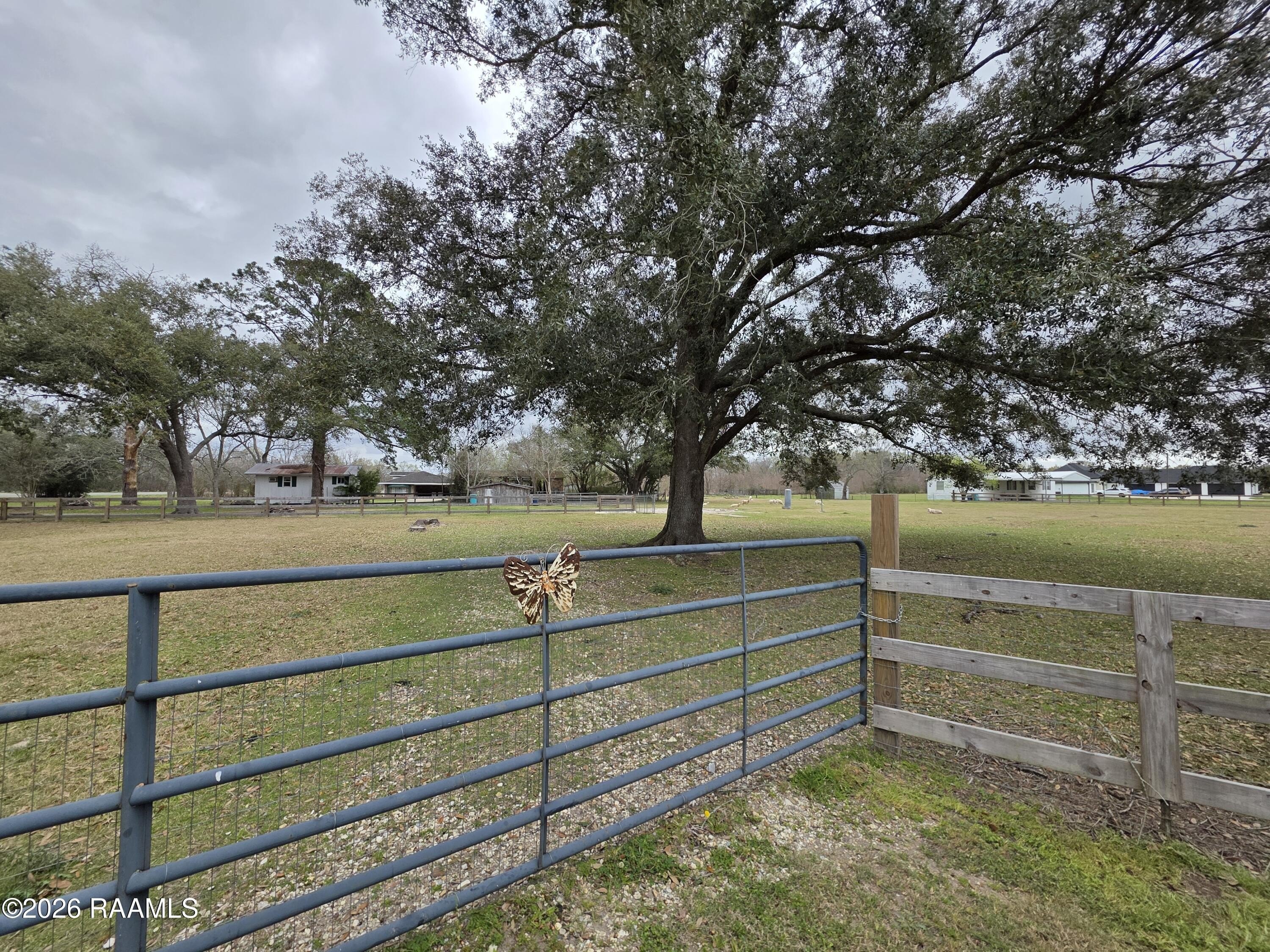 Unrestricted Land Near Hwy 190