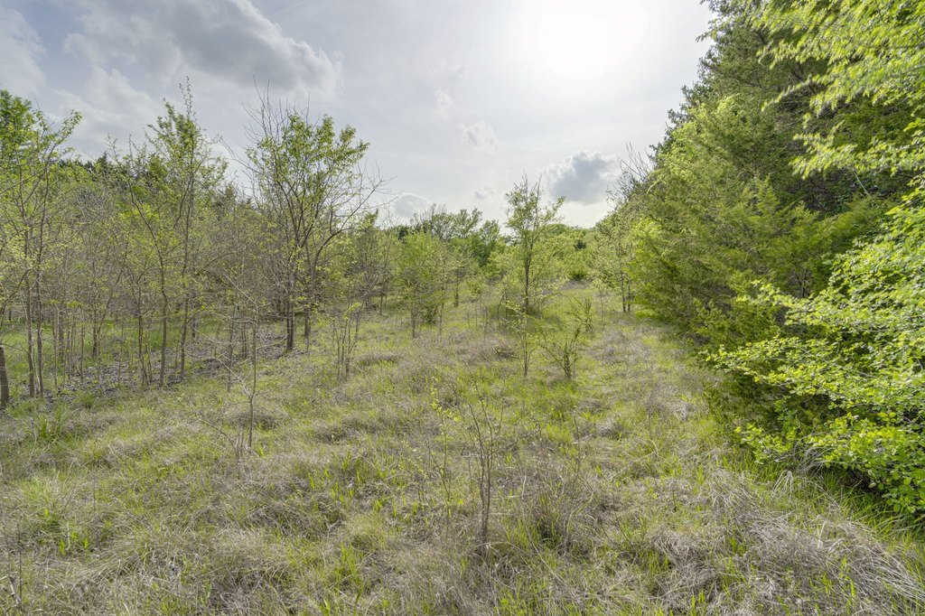 Picture 15