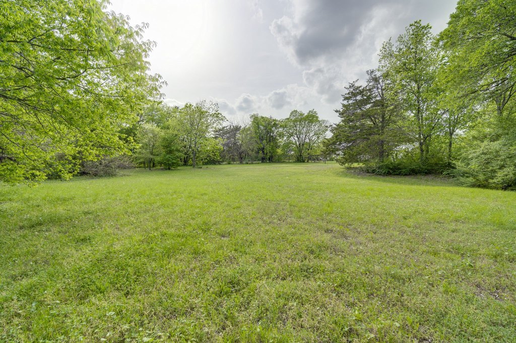 Picture 7