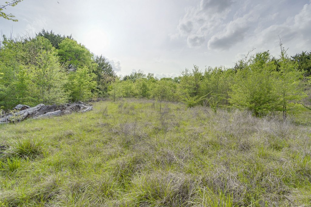 Picture 14