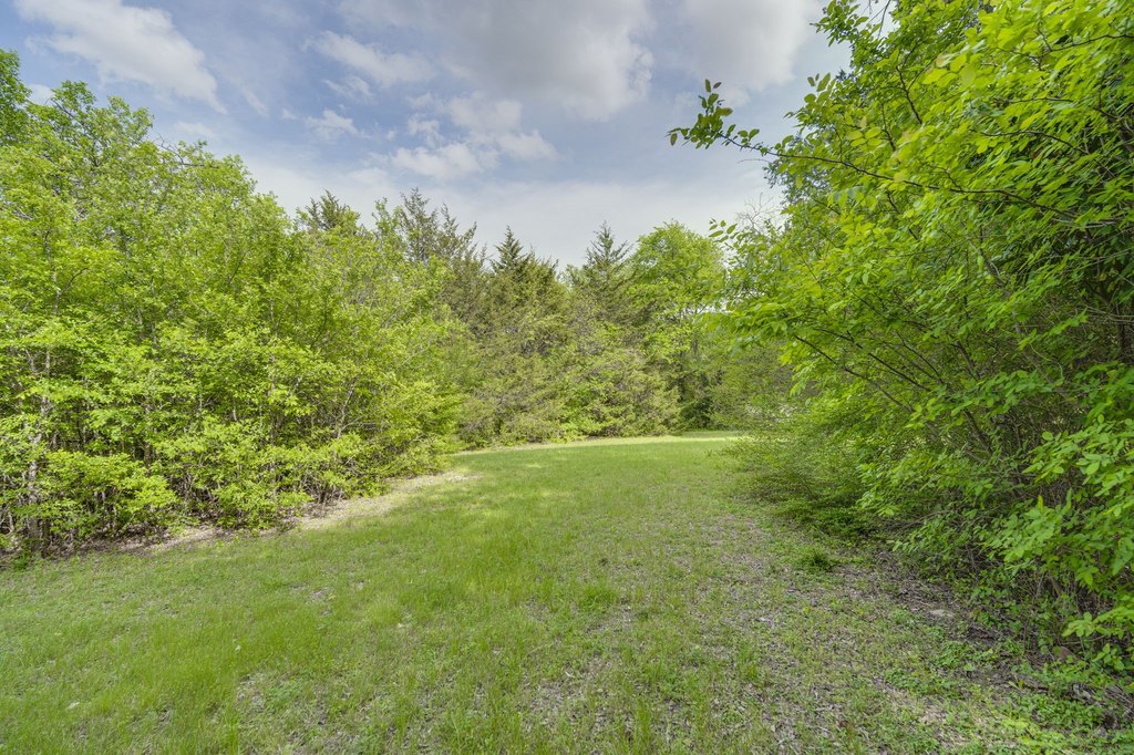 Picture 8