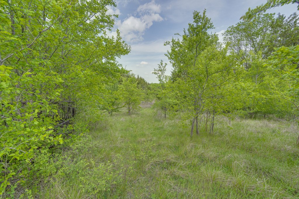 Picture 12