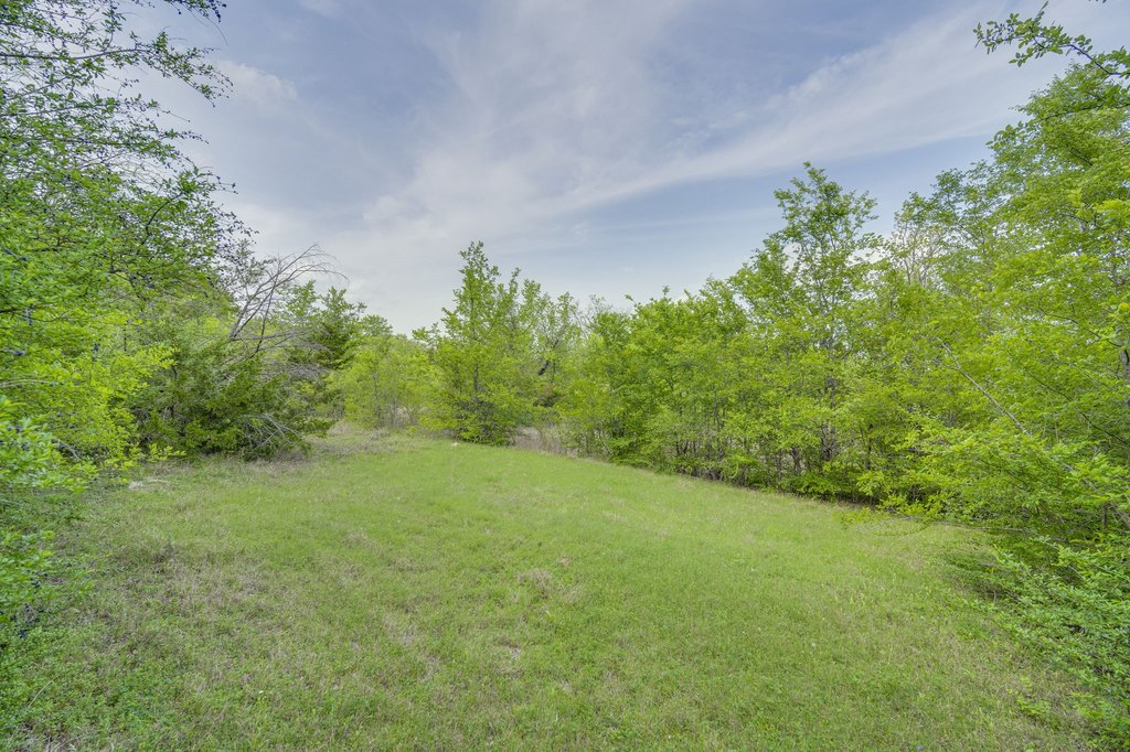 Picture 17