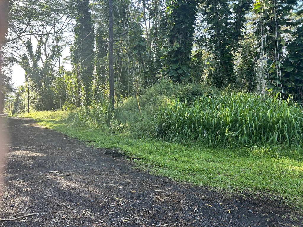 Picture 20