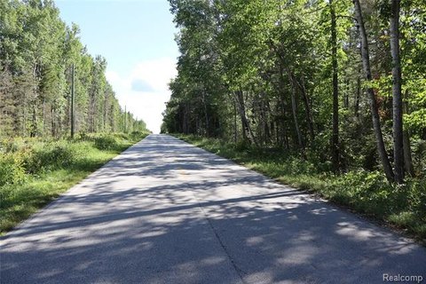 Vacant Land, Drummond Twp, MI