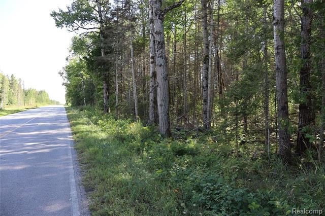 Picture 14