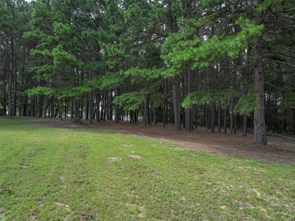 Picture 13