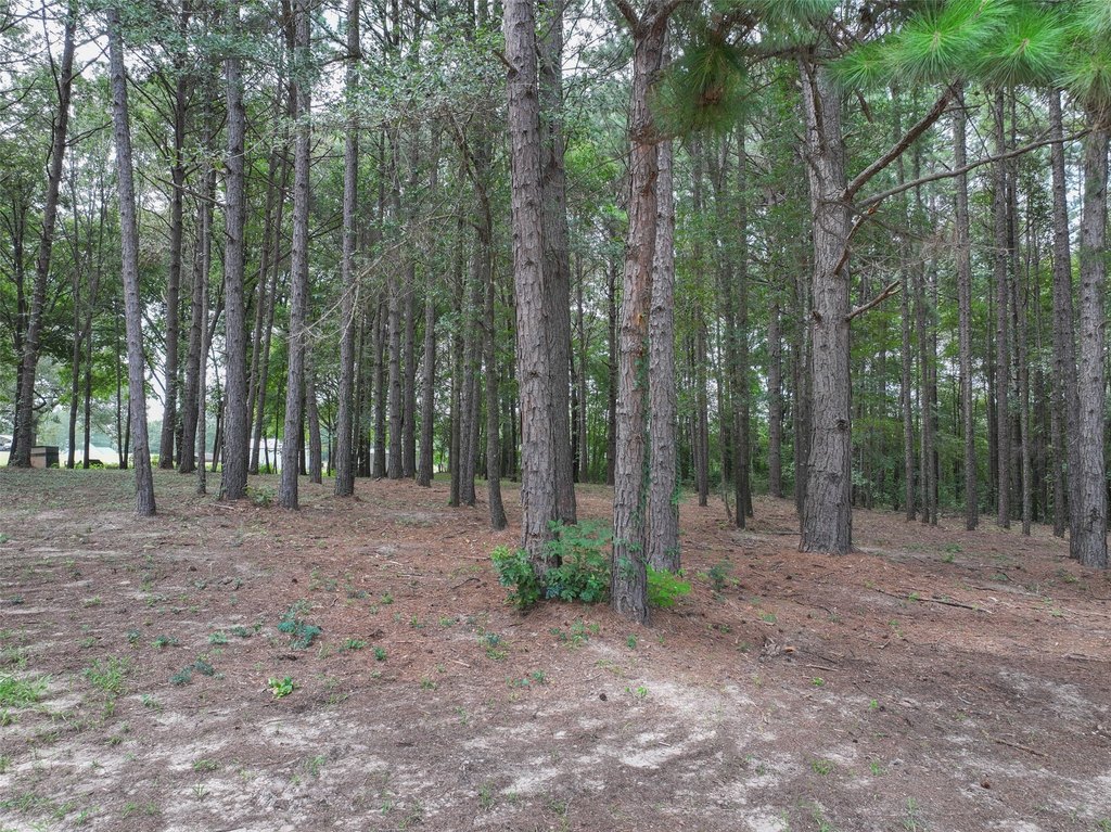 Picture 14