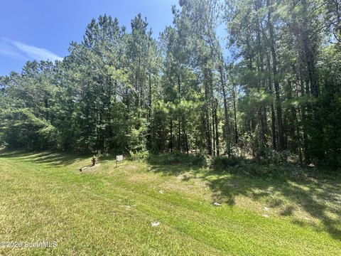 Land, Waverly, GA