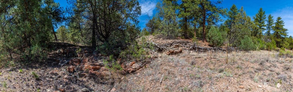 Picture 13